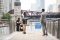 The Proposal