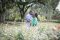 New Orleans City Park