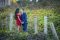 The Proposal