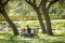 The Proposal