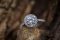 The Ring