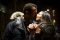 The Proposal