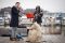 The Proposal