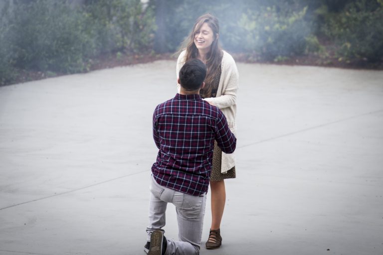 Photo Chattanooga Engagement Proposal Photography: Aaron and Lindsay