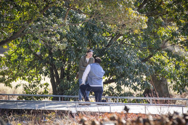 Photo Jordan’s Romantic Brooklyn Botanical Garden Engagement Proposal Photo Jordan’s Romantic Brooklyn Botanical Garden Engagement Proposal