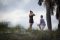 The Proposal