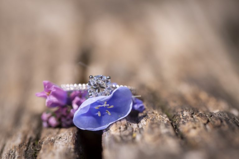 Photo Most Romantic Proposals of the Week