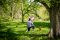Arnold Arboretum