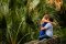 The Proposal