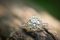 The Ring