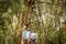 Cenote Lucero Verde