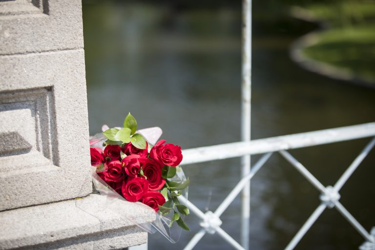Photo Boston Proposal Ideas: Public Garden Photo Boston Proposal Ideas: Public Garden