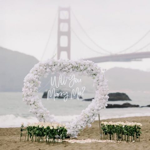 Bay Area white heart arch proposal