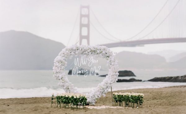 Bay Area white heart arch proposal