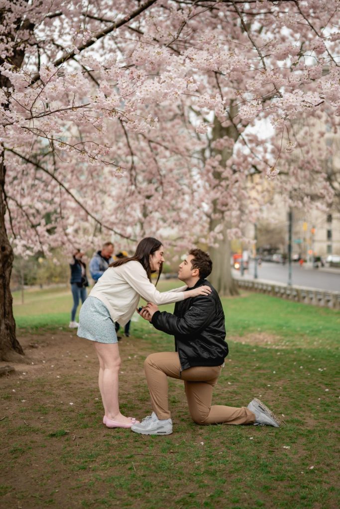 Photo Best Cherry Blossom Proposal Spots in New York Photo Best Cherry Blossom Proposal Spots in New York